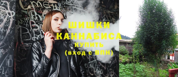 стафф Володарск