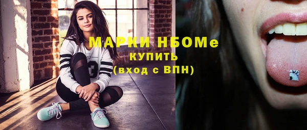 стафф Володарск